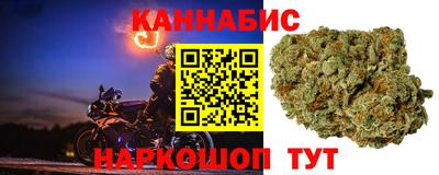 сатива Беслан