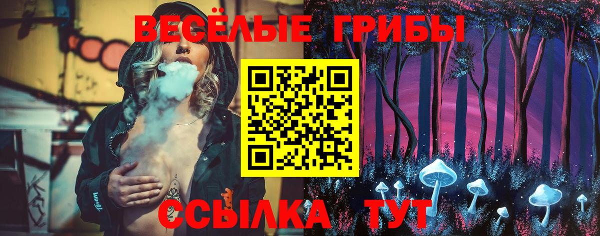 Псилоцибиновые грибы GOLDEN TEACHER  Вход с VPN  Клинцы 